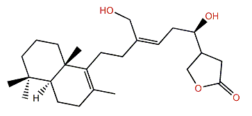 Luffarin J